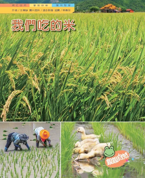 我們吃的米