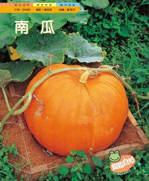 南瓜