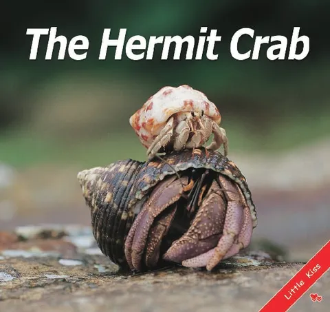 The Hermit Crab