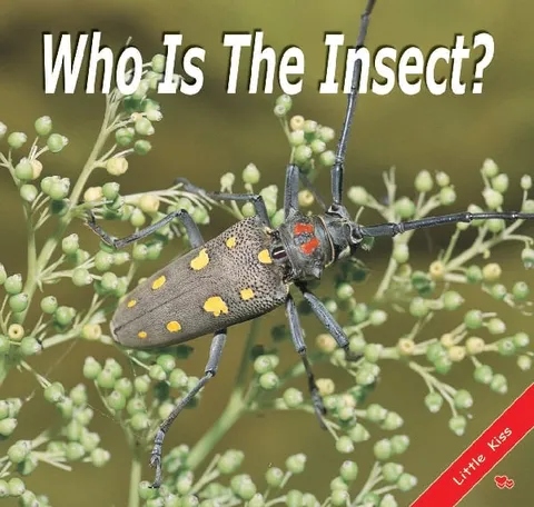 Who is the Insect?