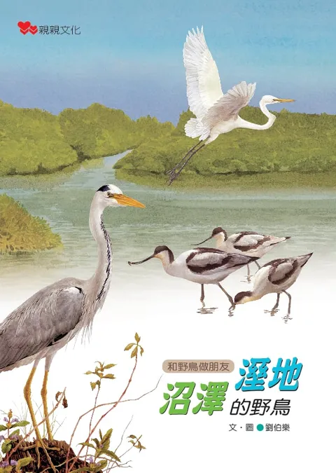湿地沼泽的野鸟