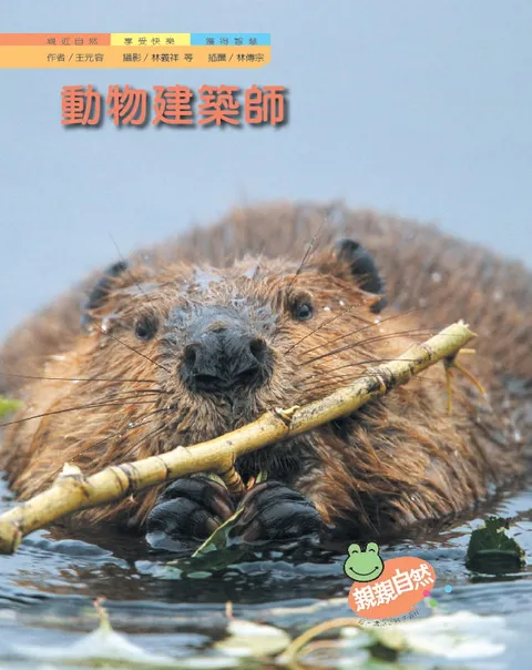 動物建築師