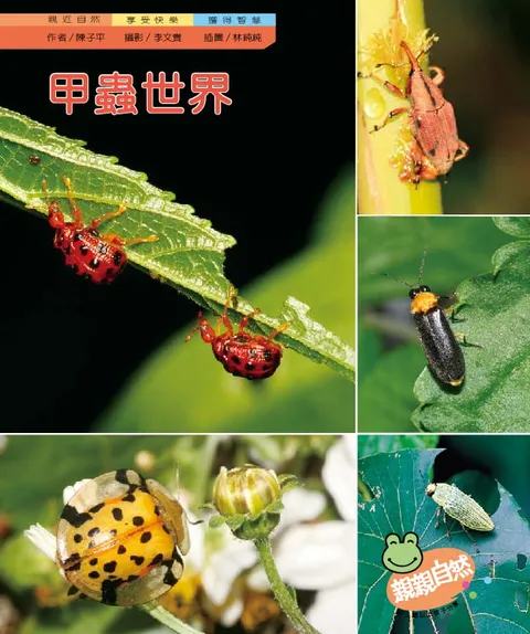 甲虫世界
