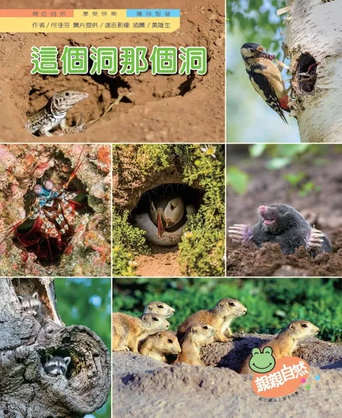 這個洞那個洞