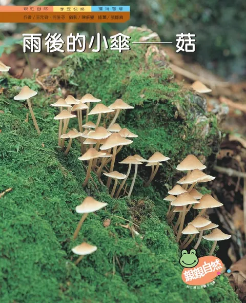 雨後的小傘-菇