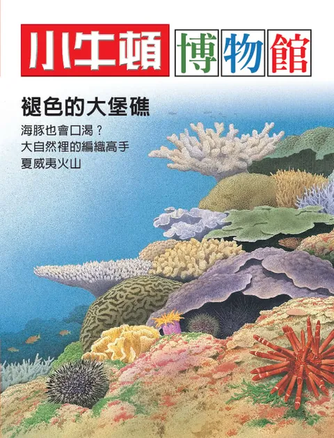 小牛頓博物館：褪色的大堡礁