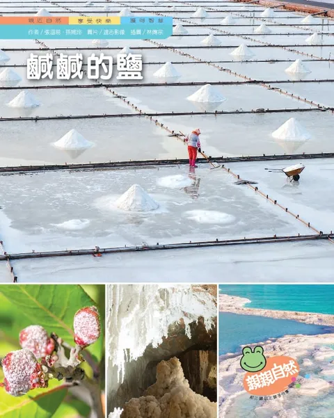 鹹鹹的鹽