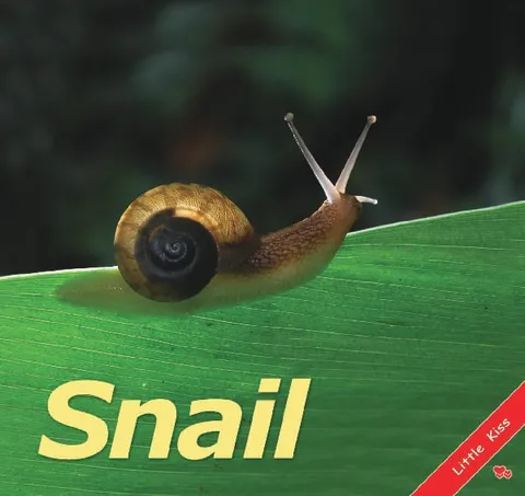 Snail