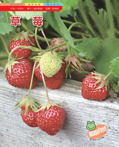 草莓