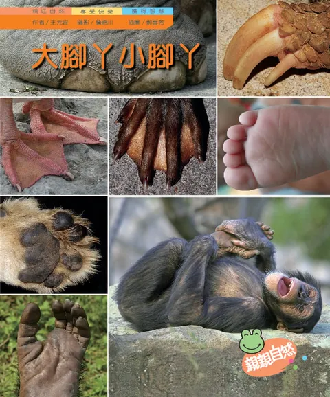 大腳丫小腳丫