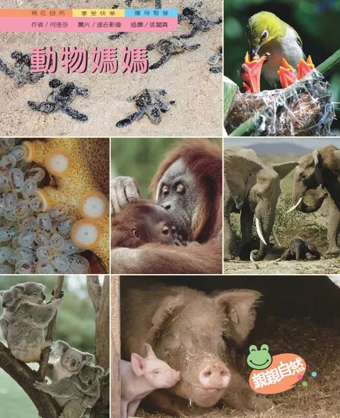 動物媽媽