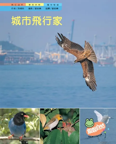 城市飛行家