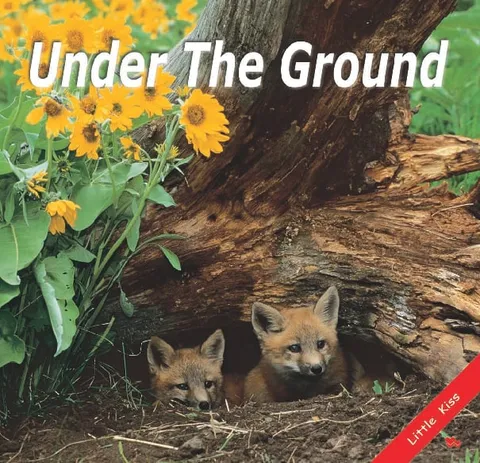 Under the Ground