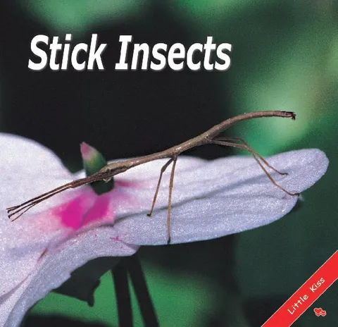 Stick Insects