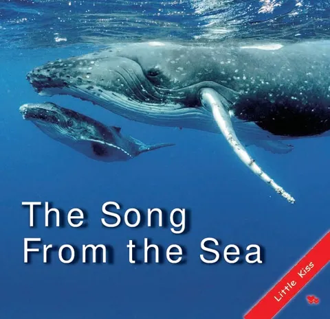 The Song from the Sea