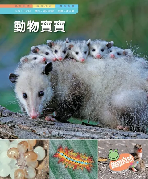 动物宝宝