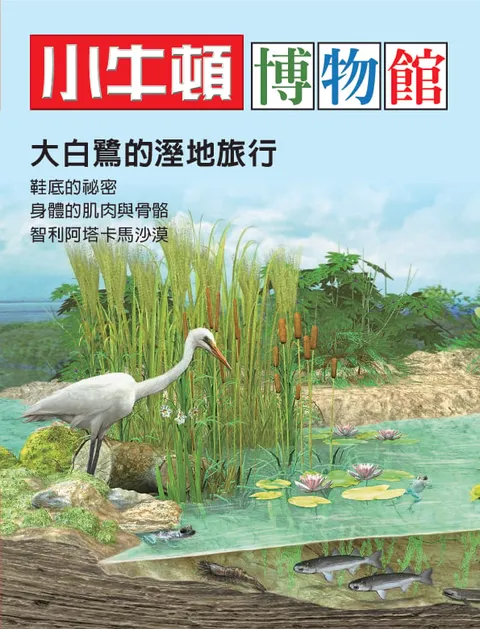 小牛頓博物館:大白鷺的溼地旅行