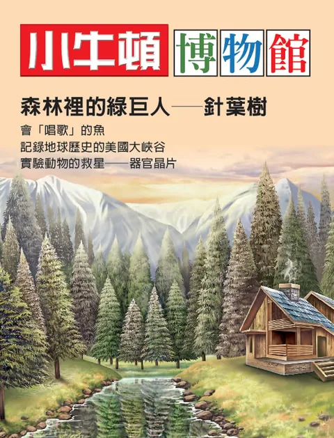 小牛顿博物馆：森林里的绿巨人-针叶树