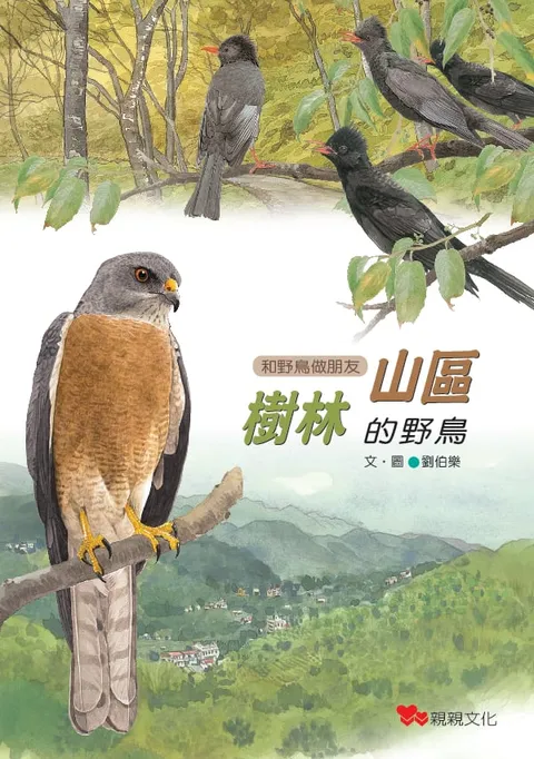 山區樹林的野鳥