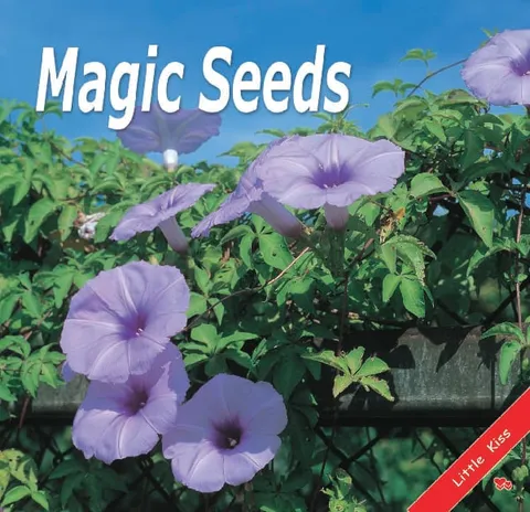 Magic Seeds