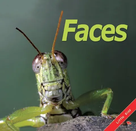 Faces