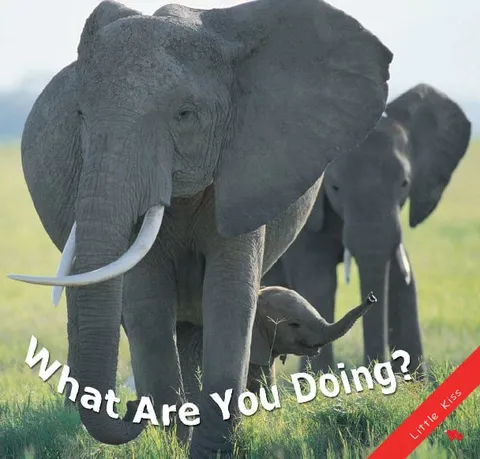 What are You Doing?