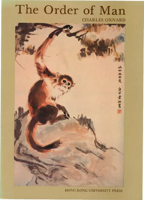 人的綱目：靈長類的生物數學解剖