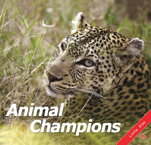 Animal Champions