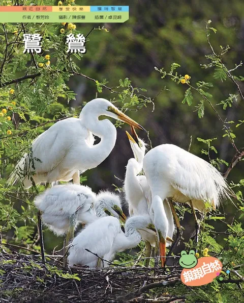 鷺鷥