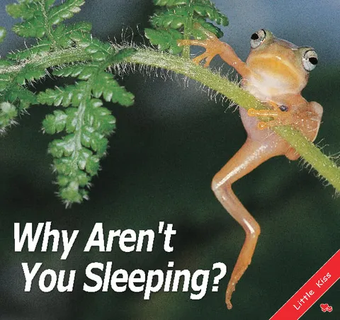 Why Aren't You Sleeping?