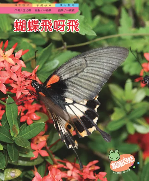蝴蝶飞呀飞