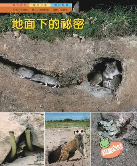 地面下的秘密