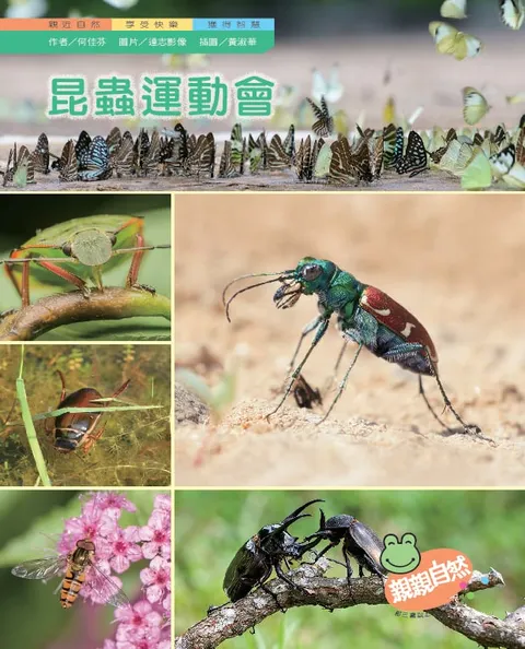 昆虫运动会
