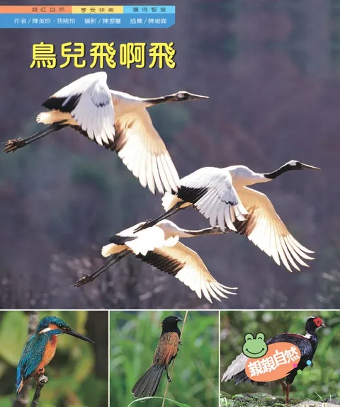 鳥兒飛啊飛