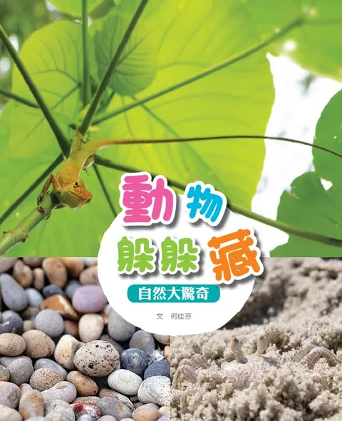 動物躲躲藏