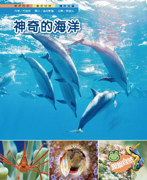 神奇的海洋