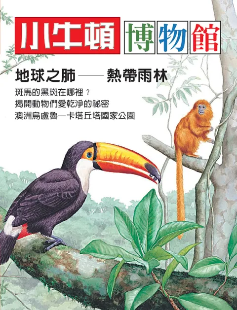 小牛頓博物館：地球之肺: 熱帶雨林