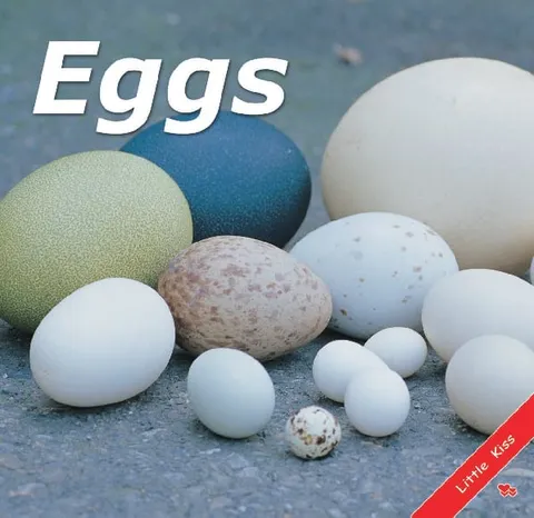 Eggs