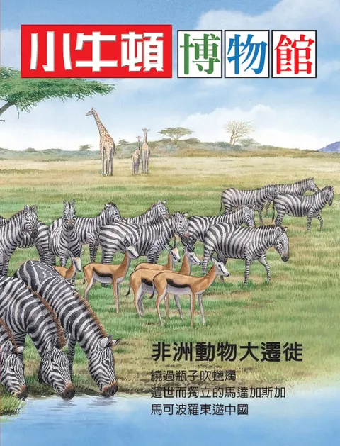 小牛頓博物館：非洲動物大遷徙