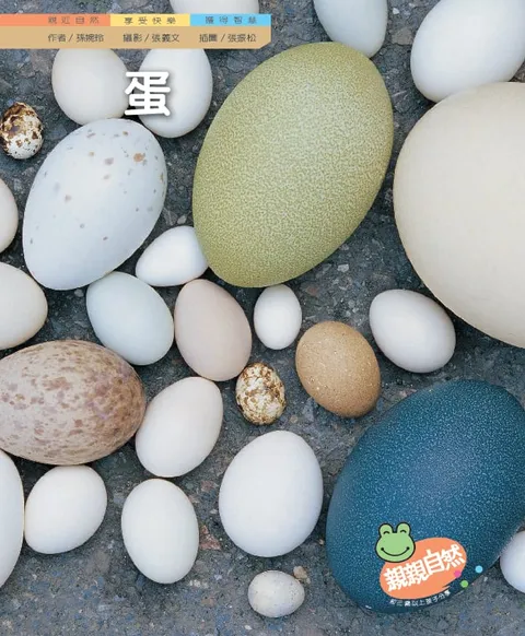 蛋