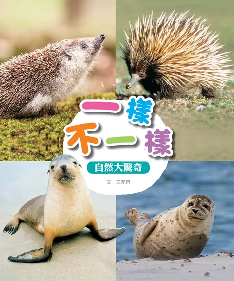 一樣不一樣
