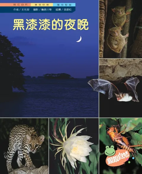 黑漆漆的夜晚