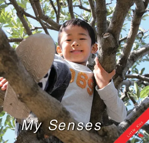 My Senses