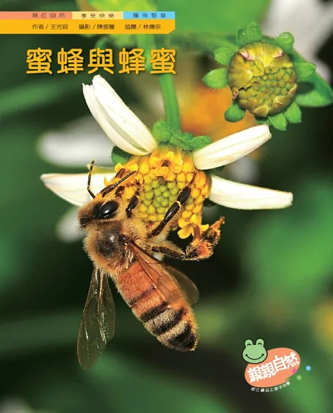 蜜蜂與蜂蜜