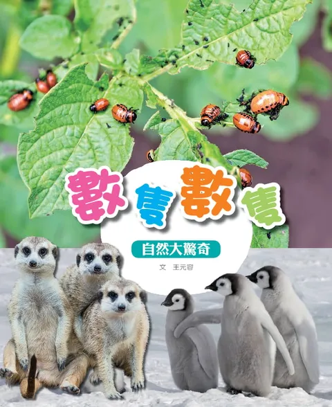 數隻數隻
