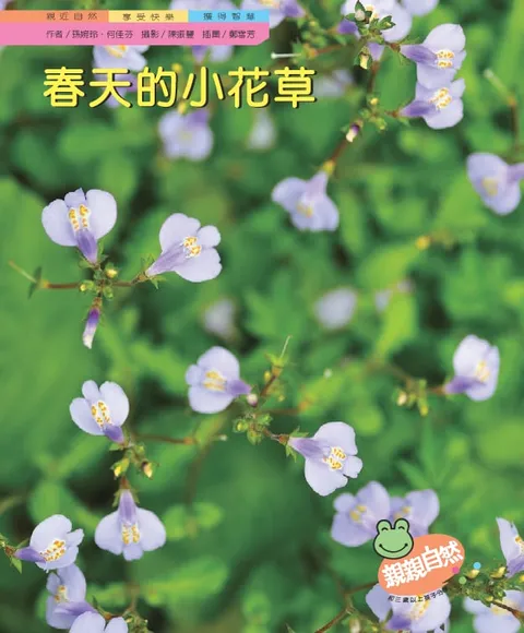 春天的小花草