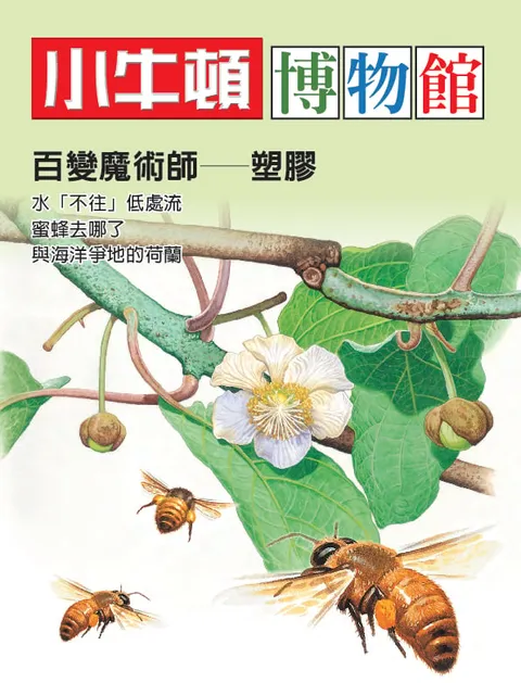 小牛頓博物館：百變魔術師-塑膠