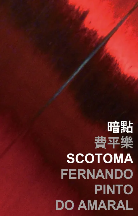 暗點 Scotoma