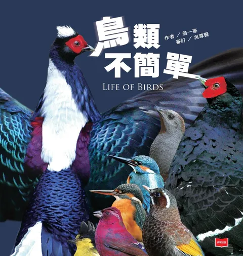 鳥類不簡單（新版）