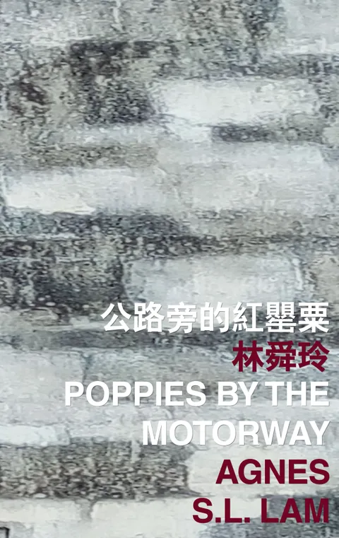 公路旁的紅罌粟 Poppies by the Motorway